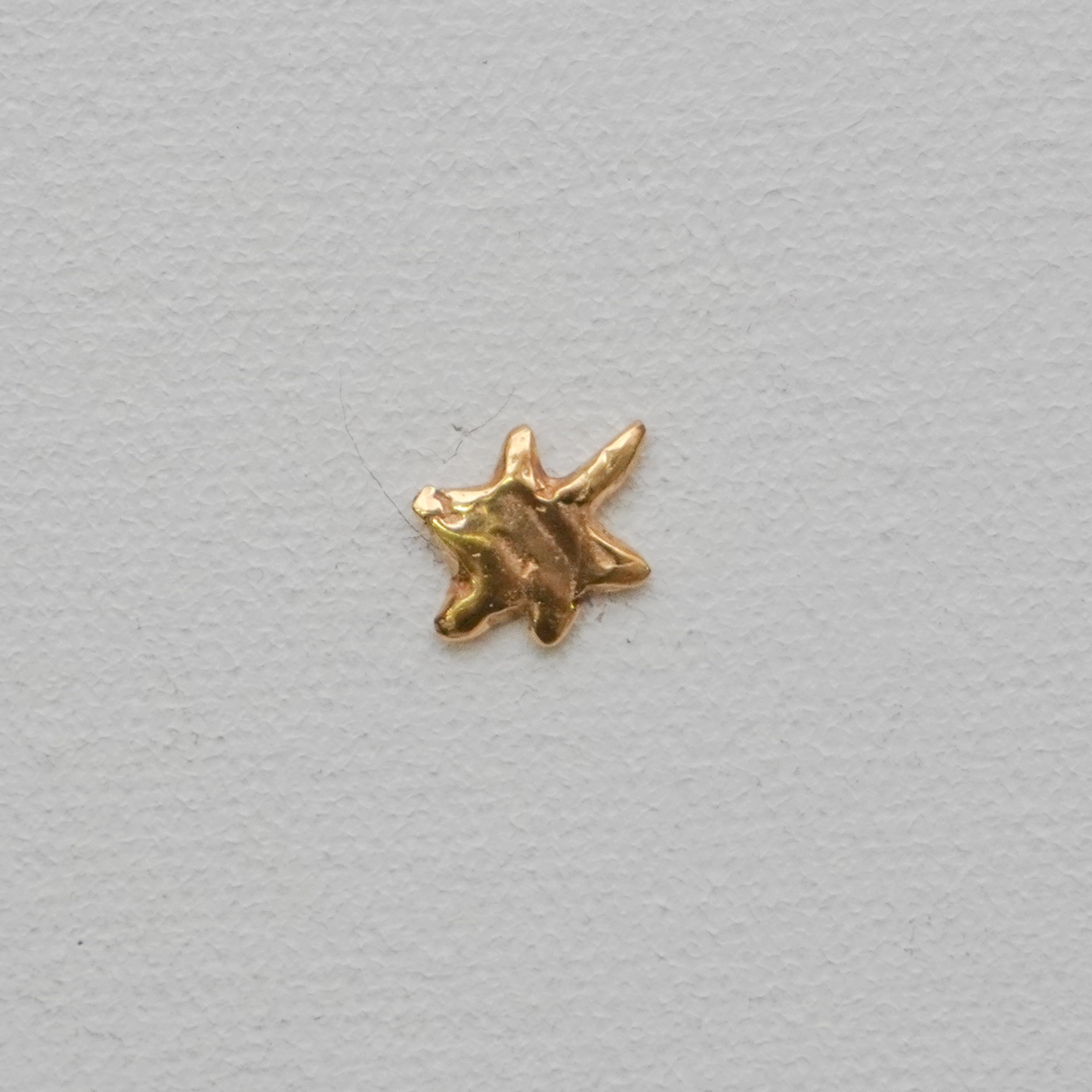 Echi iridescenti - Small Star