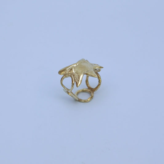 Gold-plated brass, gold-plated silver or silver ring with a star and circles