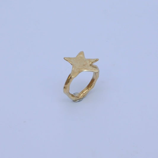 Cenere Stellare ring with a star