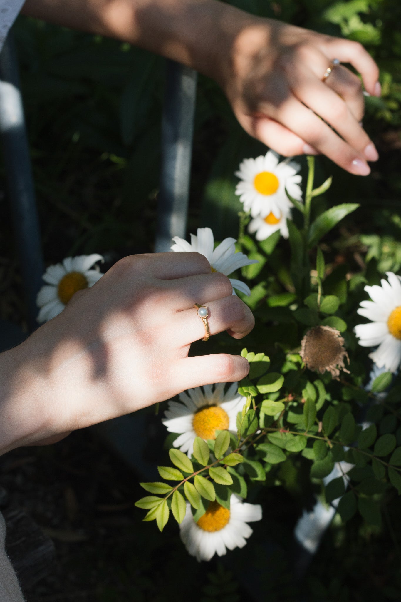 Single pearl ring - Perula Collection - gold-plated with a pearl and zirconias