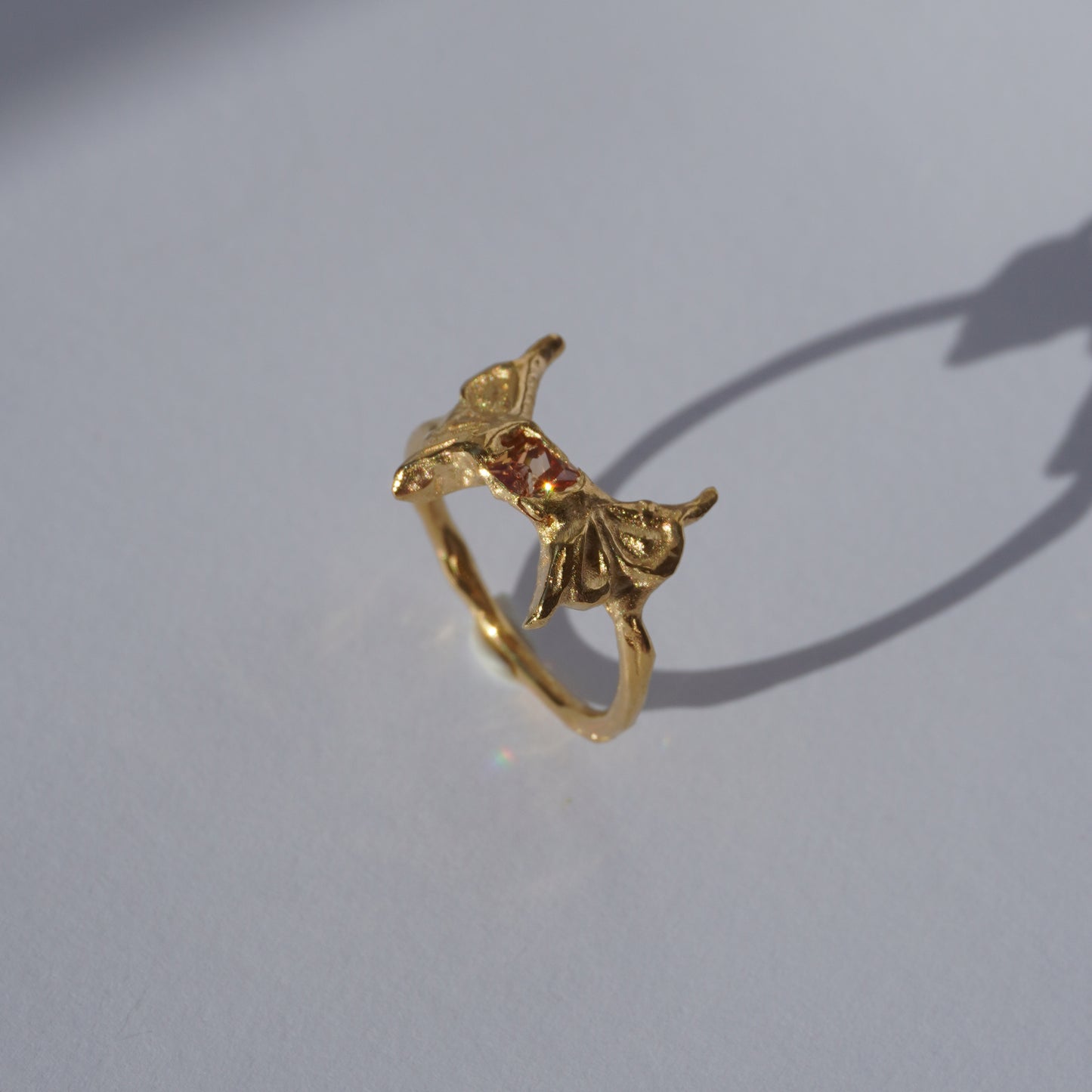 Nixie ring