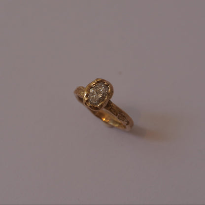 Engagment ring for Paulo
