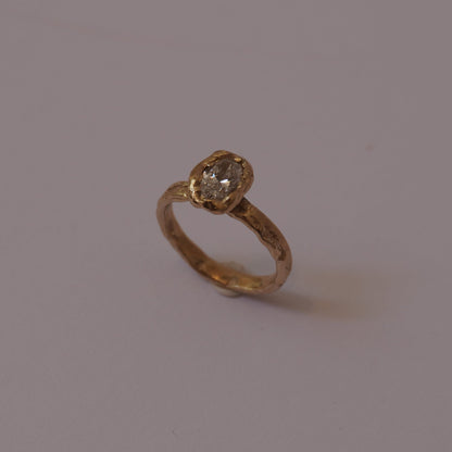 Engagment ring for Paulo
