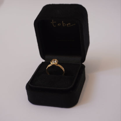 Engagment ring for Paulo