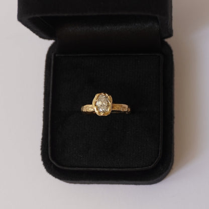 Engagment ring for Paulo