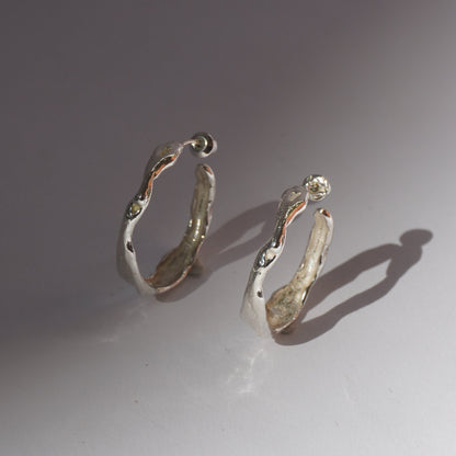 Dione Small Earrings